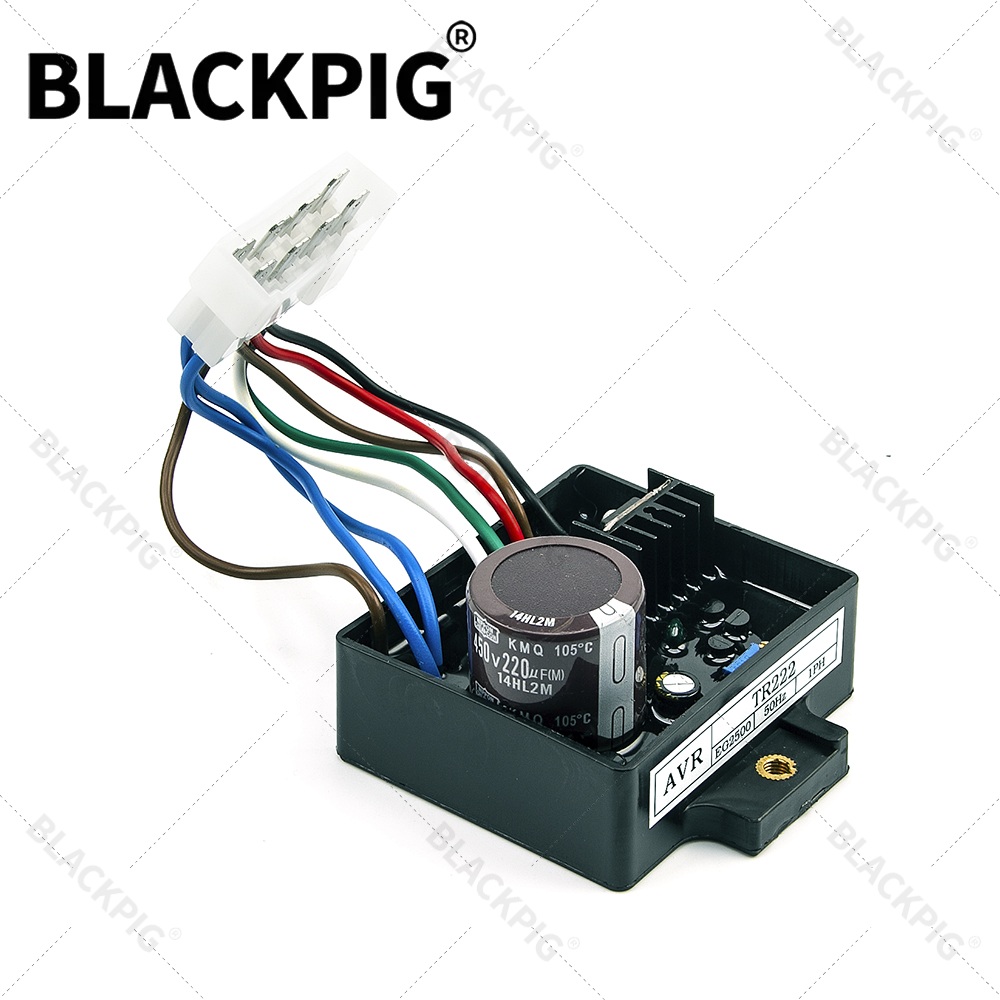 TR222 EG2500 AVR แผงวงจรควบคุม - Cycloidal Reducer Bldc Motor บทวิจารณ์และราคา